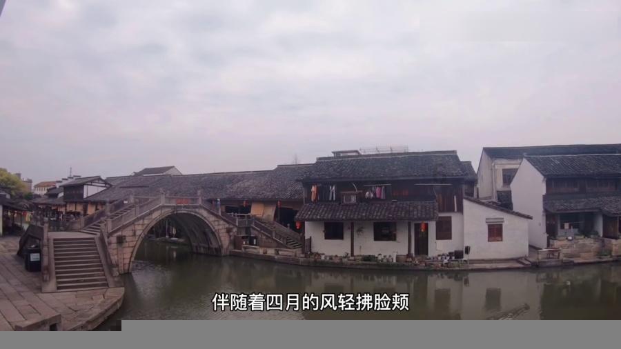 探索面不发可以做什么面食知识星球，深入了解精彩世界！